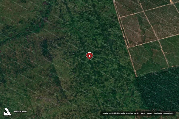 Imagem de satélite de Infração da Flora em Humaitá - AM (marcador da localização)