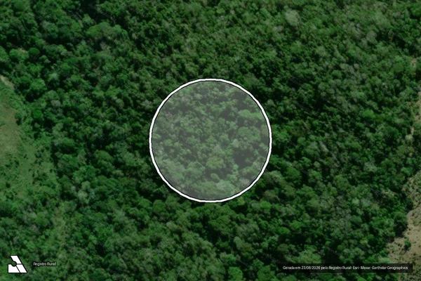 Imagem de satélite — Embargo IBAMA — Infração Ambiental — Gongogi/BA