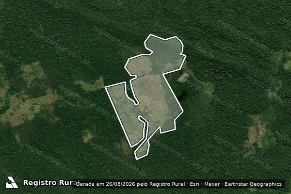 Imagem de satélite de Infração da Flora em São Félix do Xingu - PA