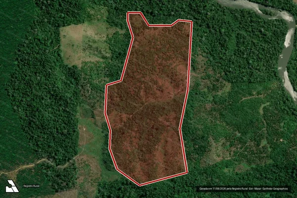 Imagem de satélite de Infração da Flora em Pacajá - PA