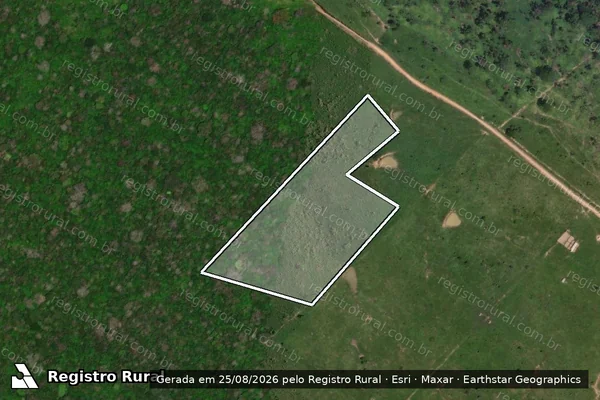 Imagem de satélite de Infração da Flora em Boca do Acre - AM