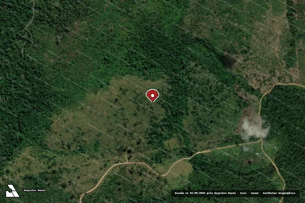 Imagem de satélite de Infração da Flora em Novo Progresso - PA (marcador da localização)