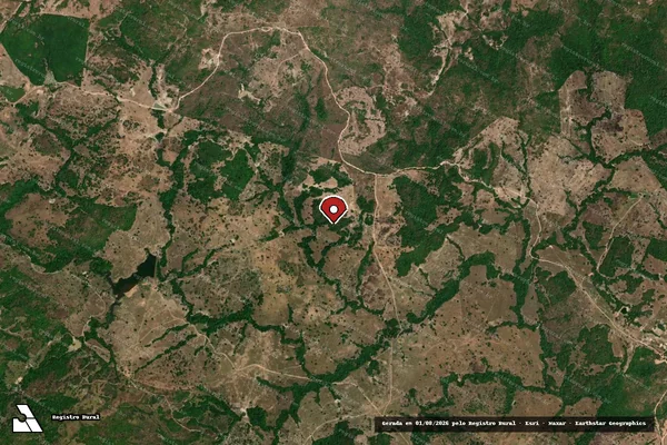 Imagem de satélite de Infração da Flora em Crixás - GO (marcador da localização)