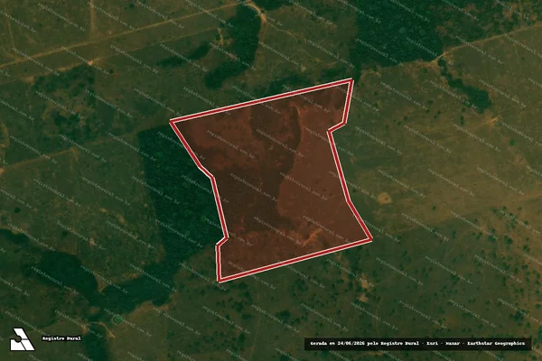Imagem de satélite — Embargo IBAMA — Infração da Flora - Buritis/RO