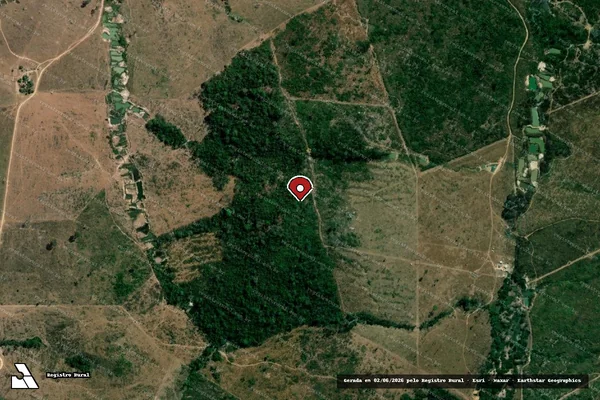 Imagem de satélite de Infração da Fauna em Nova Bandeirantes - MT (marcador da localização)