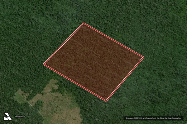Imagem de satélite de Infração da Flora em São Félix do Xingu - PA