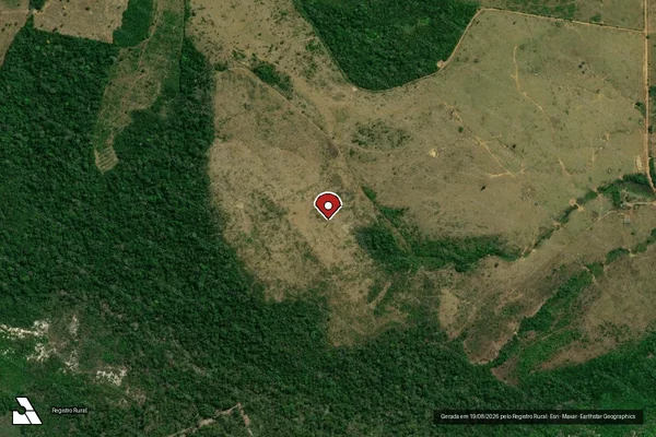 Imagem de satélite de Infração Ambiental em Apuí - AM (marcador da localização)
