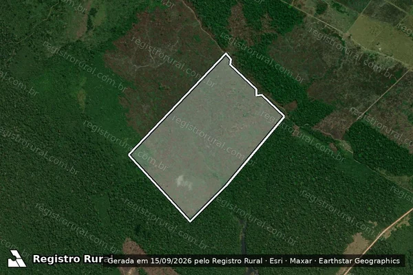 Imagem de satélite de Infração Ambiental em Novo Aripuanã - AM