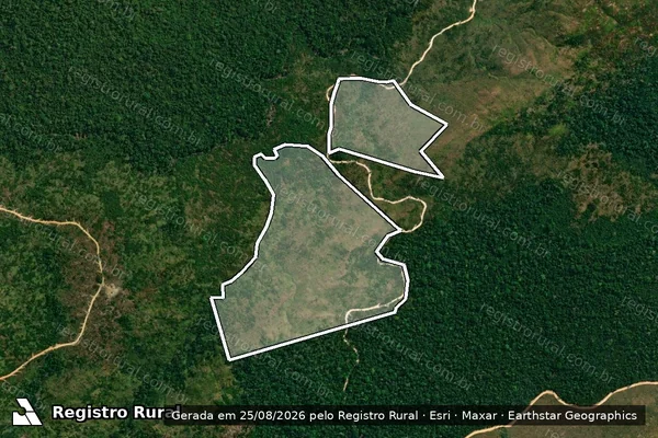 Imagem de satélite de Infração da Flora em Apiacás - MT