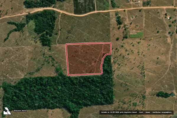 Imagem de satélite de Infração da Flora em Colniza - MT