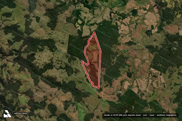 Imagem de satélite de Infração Ambiental em Palmas - PR