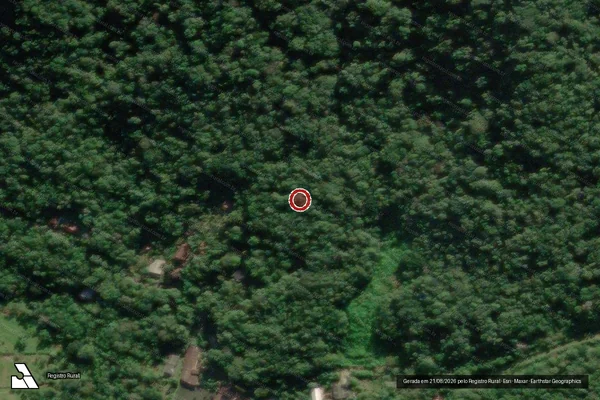 Imagem de satélite de Infração da Flora em Guaratuba - PR