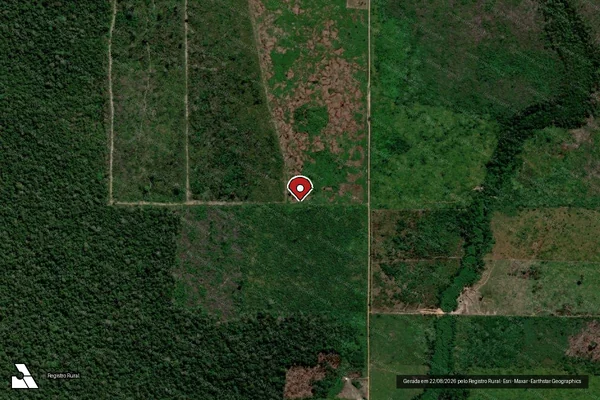 Imagem de satélite de Infração Ambiental em Porto Velho - RO (marcador da localização)