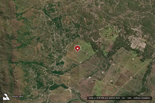Imagem de satélite de Infração da Flora em Paranã - TO (marcador da localização)