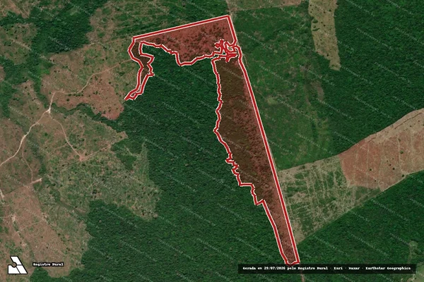 Imagem de satélite de Infração da Flora em Goianésia do Pará - PA