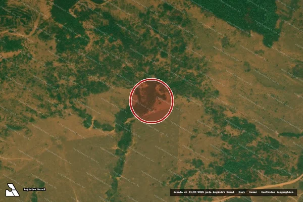 Imagem de satélite de Infração Ambiental em Buritis - RO