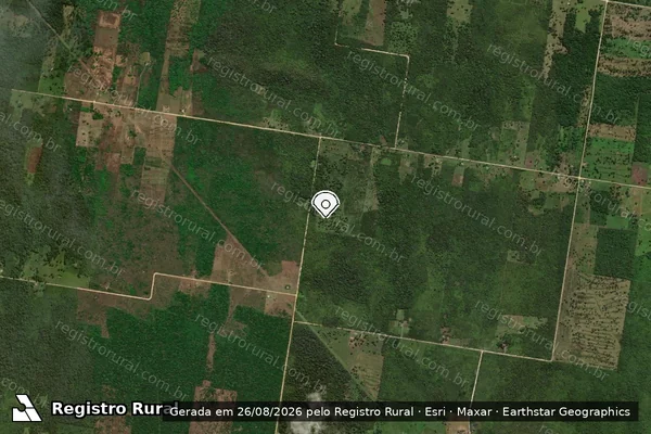 Imagem de satélite de Infração da Flora em Corumbá - MS (marcador da localização)