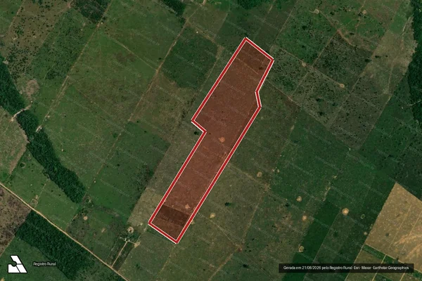 Imagem de satélite de Infração da Flora em Porto Velho - RO