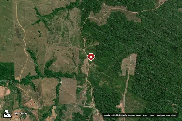 Imagem de satélite de Infração Ambiental em Tomé-Açu - PA (marcador da localização)