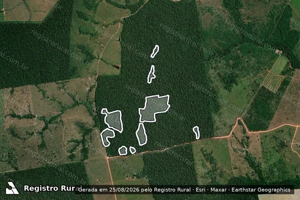 Imagem de satélite de Infração da Flora em Porto Velho - RO