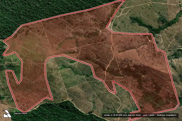 Imagem de satélite de Infração da Flora em Novo Progresso - PA