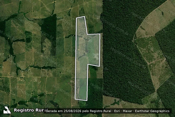 Imagem de satélite de Infração da Flora em Cujubim - RO