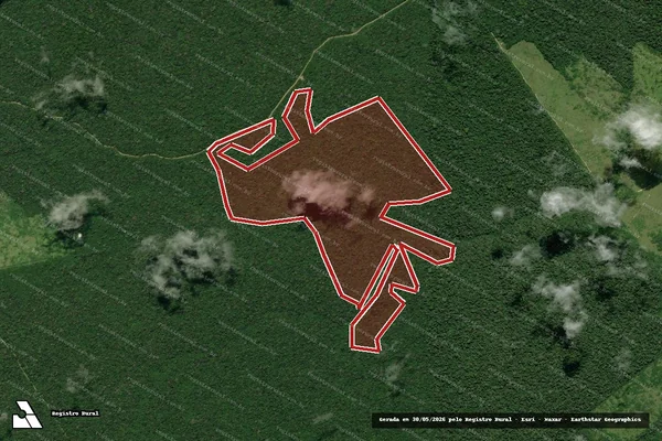 Imagem de satélite — Embargo Ambiental - Anapu/PA