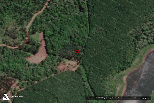 Imagem de satélite de Infração Ambiental em Bituruna - PR