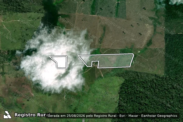 Imagem de satélite de Infração da Flora em Pacajá - PA