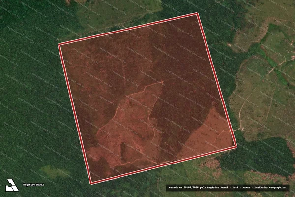 Imagem de satélite de Infração da Flora em Novo Progresso - PA