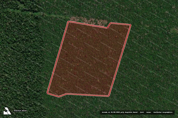 Imagem de satélite de Infração da Flora em Lábrea - AM