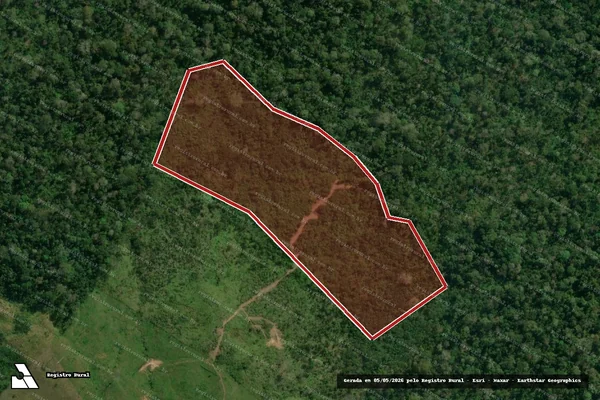 Imagem de satélite — Embargo IBAMA — Infração da Flora — Sena Madureira/AC