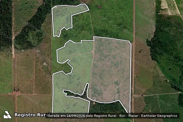 Imagem de satélite de Infração Ambiental em Altamira - PA