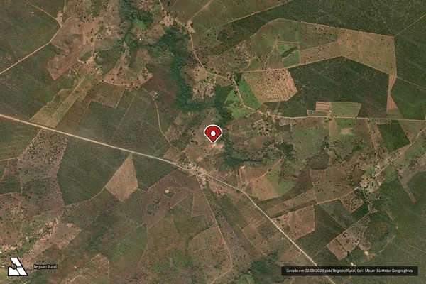 Imagem de satélite de Infração Ambiental em São Desidério - BA (marcador da localização)