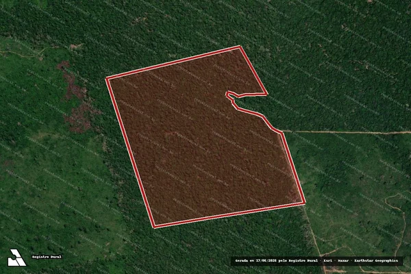 Imagem de satélite de Infração da Flora em Lábrea - AM