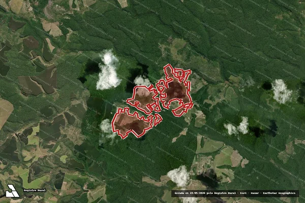 Imagem de satélite de Infração Ambiental em Santa Cruz Cabrália - BA
