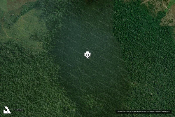 Imagem de satélite — Embargo IBAMA — Infração da Flora - Trairão/PA