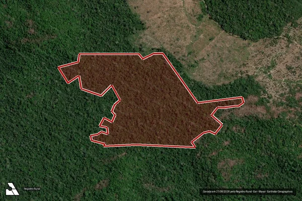 Imagem de satélite de Infração da Flora em Altamira - PA
