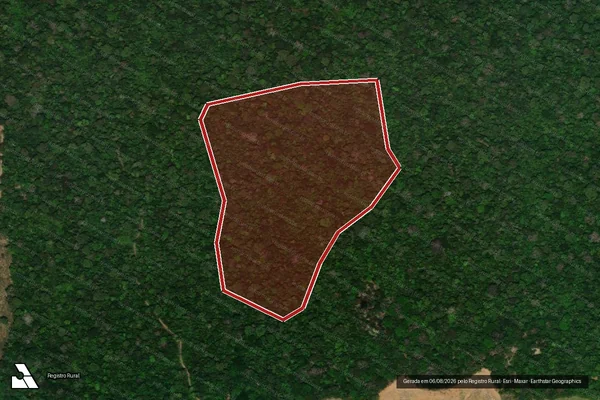 Imagem de satélite — Embargo IBAMA — Infração da Flora - Porto Velho/RO