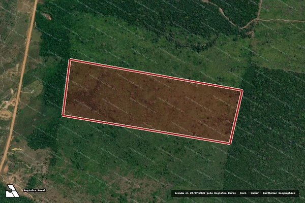 Imagem de satélite — Embargo IBAMA — Infração da Flora — Humaitá/AM