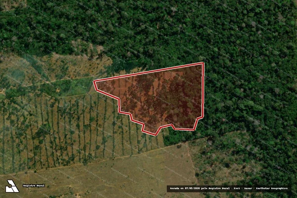 Imagem de satélite — Embargo IBAMA — Infração da Flora — Porto Velho/RO