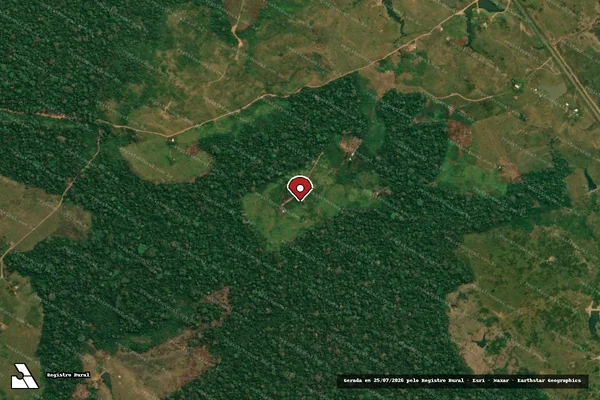 Imagem de satélite — Embargo IBAMA — Infração da Flora - Feijó/AC
