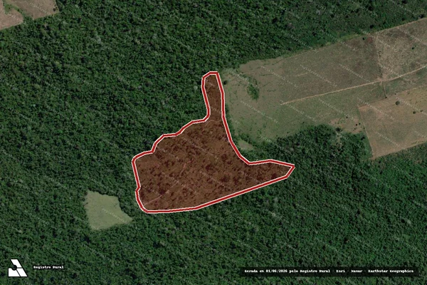 Imagem de satélite de Infração da Flora em Novo Progresso - PA