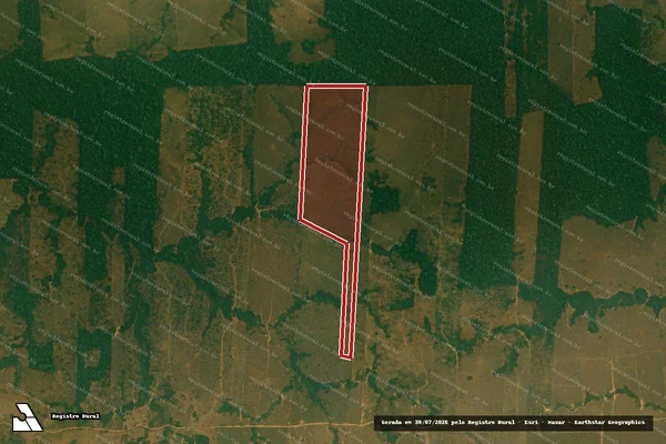 Imagem de satélite de Infração da Flora em Alto Paraíso - RO