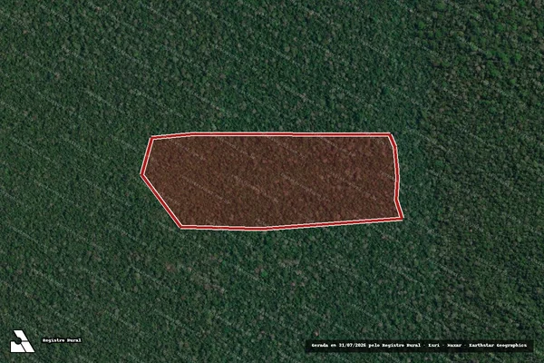 Imagem de satélite — Embargo IBAMA — Infração da Flora — Lábrea/AM