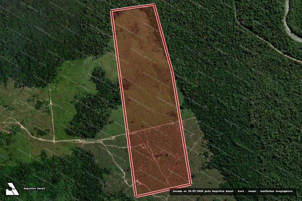 Imagem de satélite de Infração Ambiental em Altamira - PA