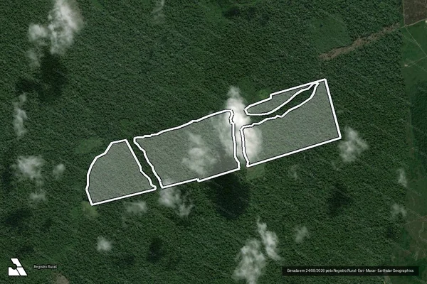 Imagem de satélite de Infração da Flora em Porto de Moz - PA
