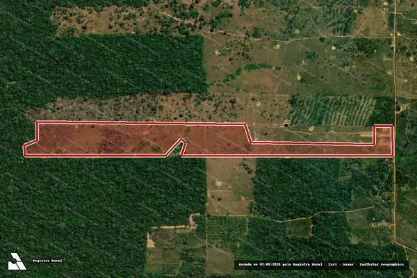 Imagem de satélite de Infração da Flora em Porto Velho - RO