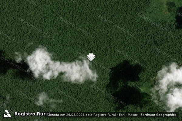 Imagem de satélite de Infração Ambiental em Porto Velho - RO (marcador da localização)
