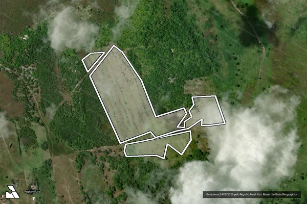 Imagem de satélite de Infração da Flora em Canavieiras - BA